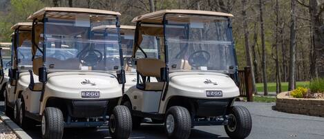 A row of golf carts parked on a road with trees in the background.