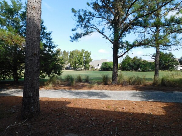 A residential area with a paved driveway, a grassy field, and several trees.