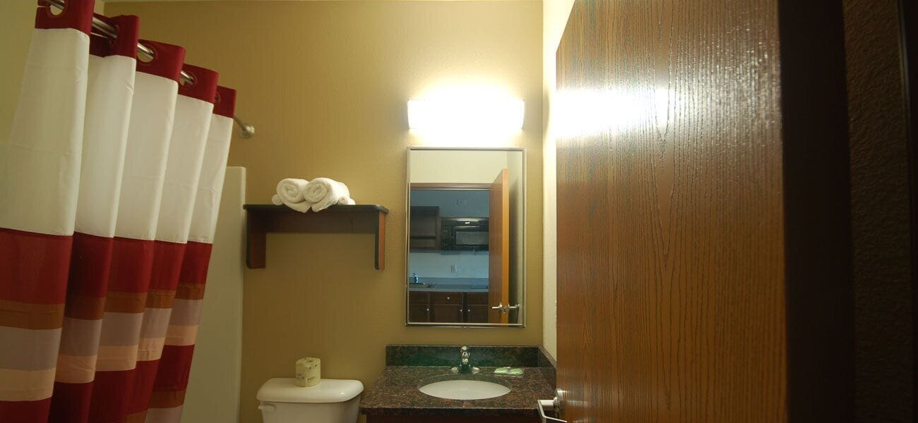 combined shower/bathtub, free toiletries, hair dryer, towels