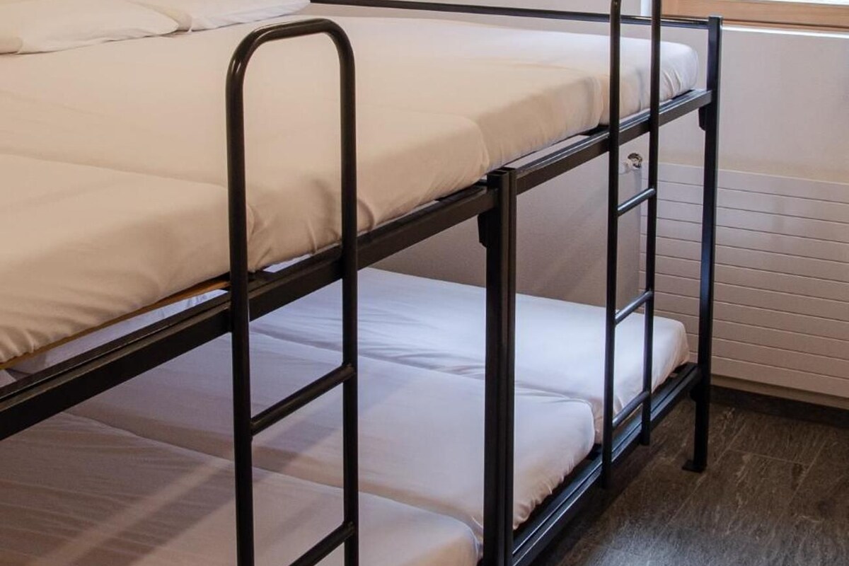 A bunk bed room with a window providing a view of trees.