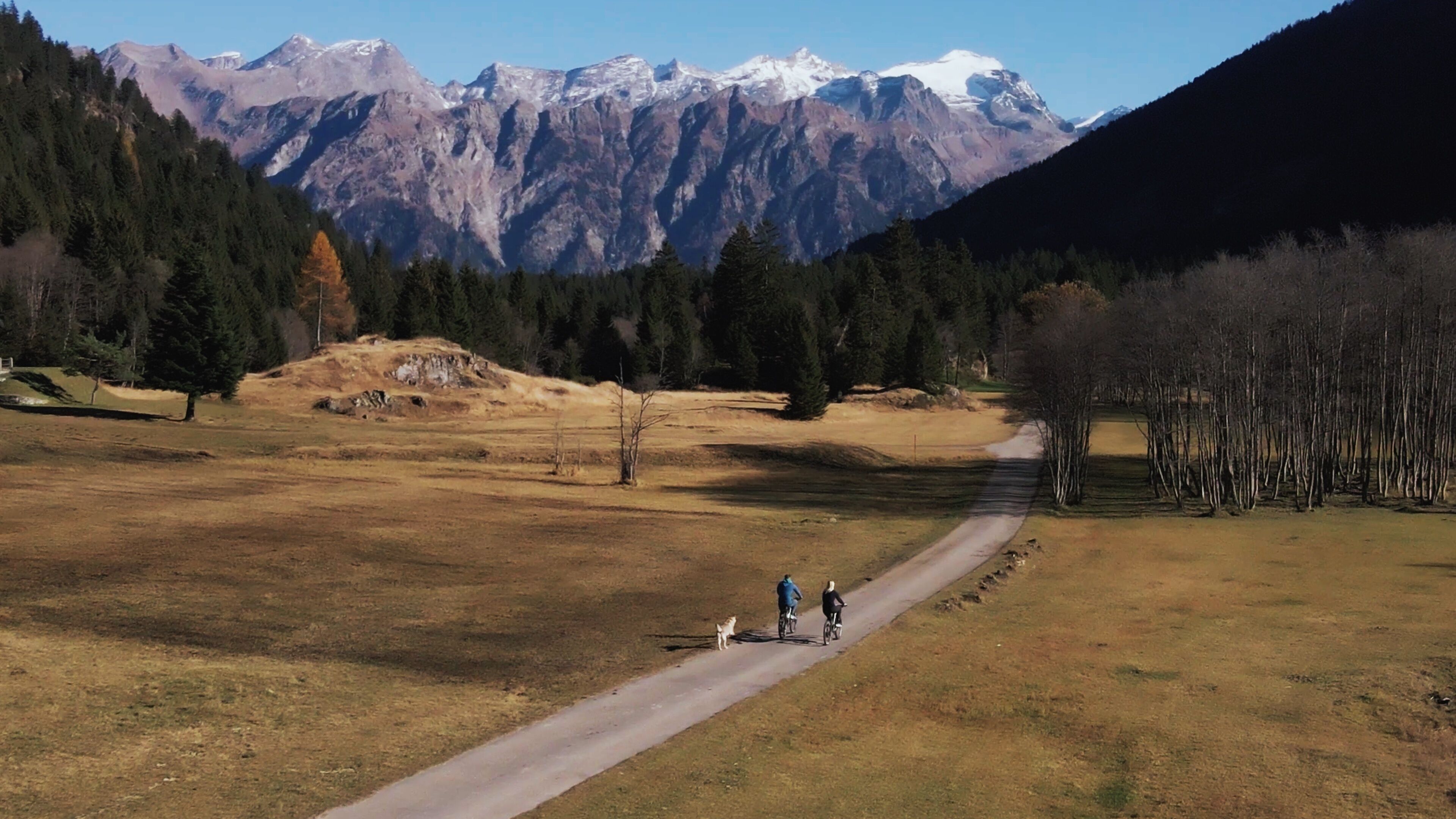 A rural landscape with a dirt path, a dog, and two cyclists.