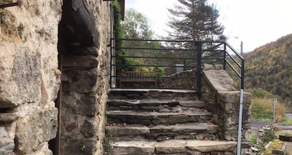 Mas Graffouil 2 - groupes ou familles