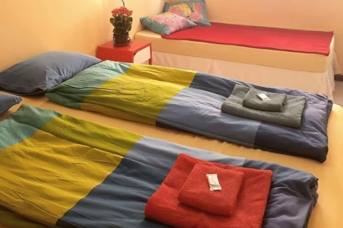 A room with two beds, a small table with a plant, and a window with curtains.