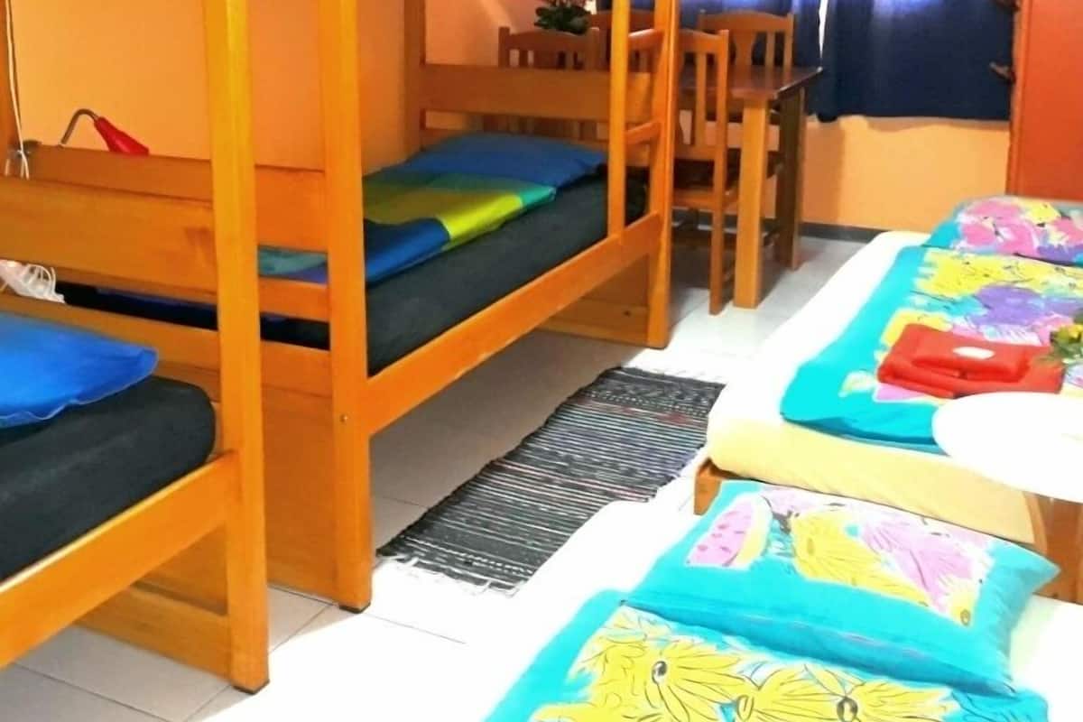 A bunk bed room with a desk and chair, a window with curtains, and a colorful bedspread.