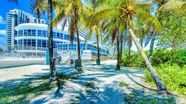 A modern building with a curved facade, surrounded by palm trees and a sandy path. - Castle 1033  Ocean view studio, Pool and Beach Access, FREE Parking, Tennis and more! (Miami Beach)