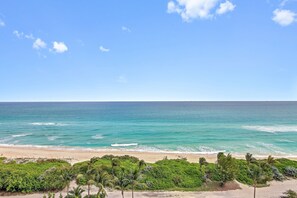 On the beach - Castle 828 Oceanfront Studio with Balcony! Free Parking, Pool, Beach, Gym, Tennis, and more! (Miami Beach)