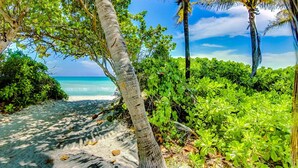 A beach with dense greenery, palm trees, and a clear view of the ocean. - Castle PH3 Oceanfront Penthouse with Free parking, Gym and direct beach access! (Miami Beach)