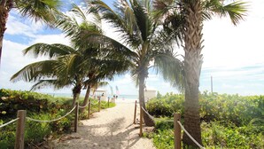 A sandy pathway lined with palm trees leading to a beach area. - Alexander 1211 with Beach Access, 2 pools, sauna (Miami Beach)