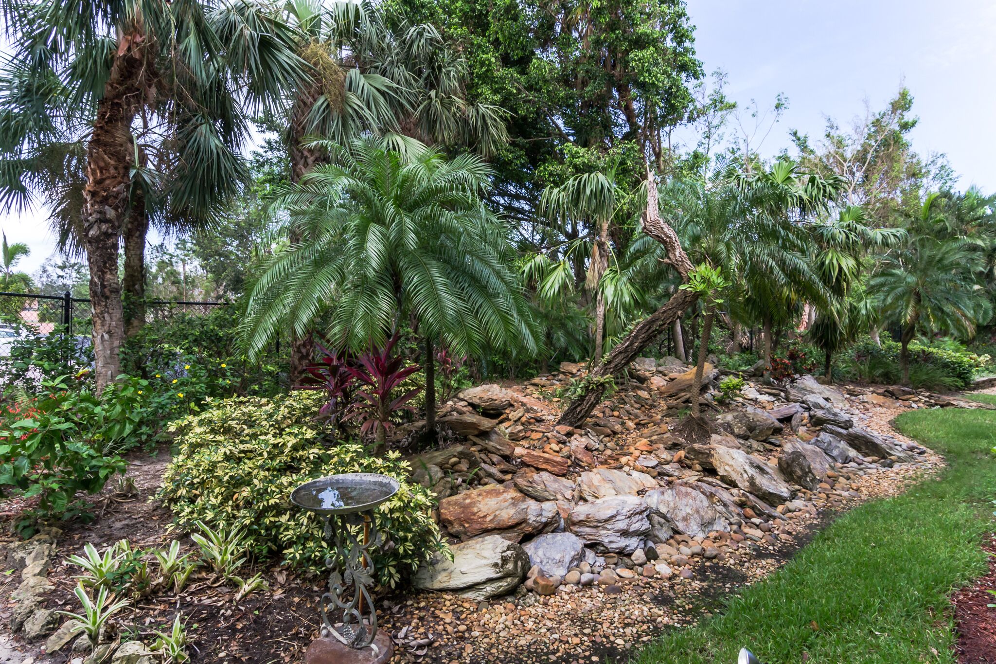 A garden with palm trees, a rock garden, and a water feature.
