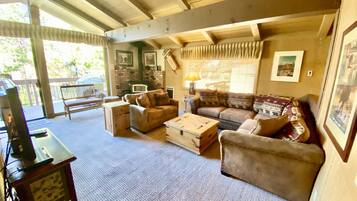 Smart TV, fireplace, DVD player, stereo