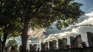 Muro de piedra con ruinas y un árbol que da sombra.