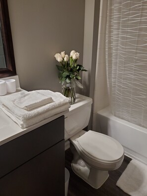 Hair dryer, towels, soap