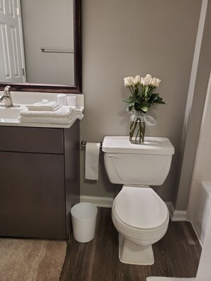 Hair dryer, towels, soap