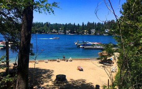 A beach with boats, a clear blue sky, and a forested area.