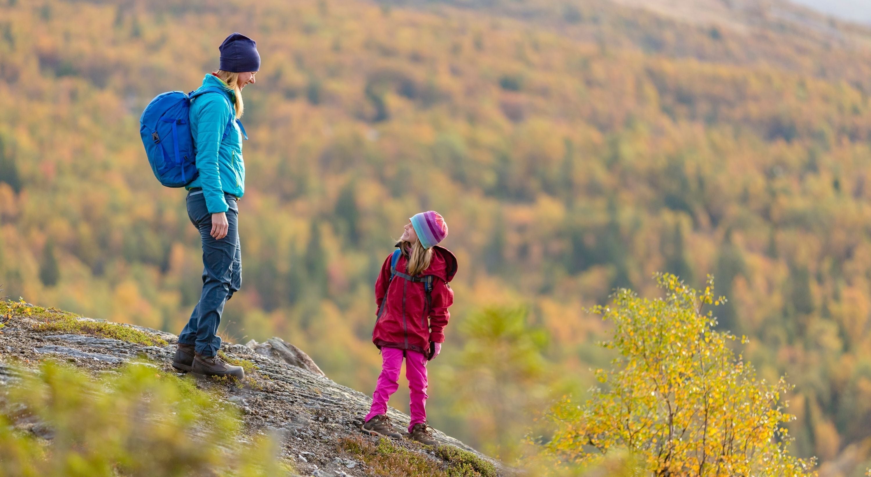 A person and a child standing on a rocky outcrop with a forested mountain in the background.