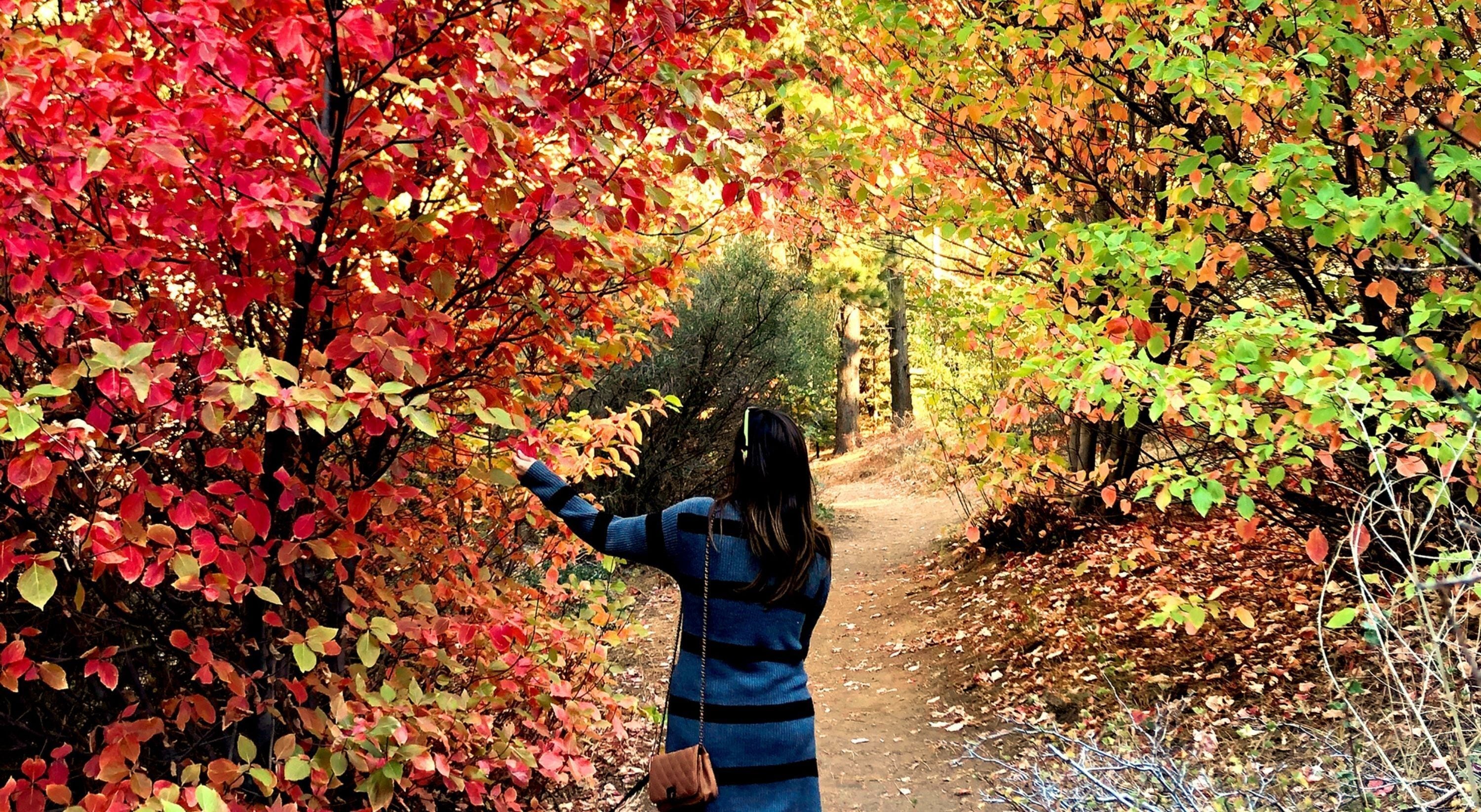 Foto - Lake Arrowhead Resort and Spa