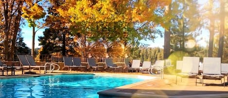 Outdoor pool, pool umbrellas, pool loungers