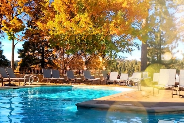 Outdoor pool, pool umbrellas, sun loungers