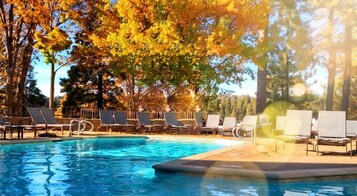 Una piscina al aire libre, sombrillas, sillones reclinables de piscina