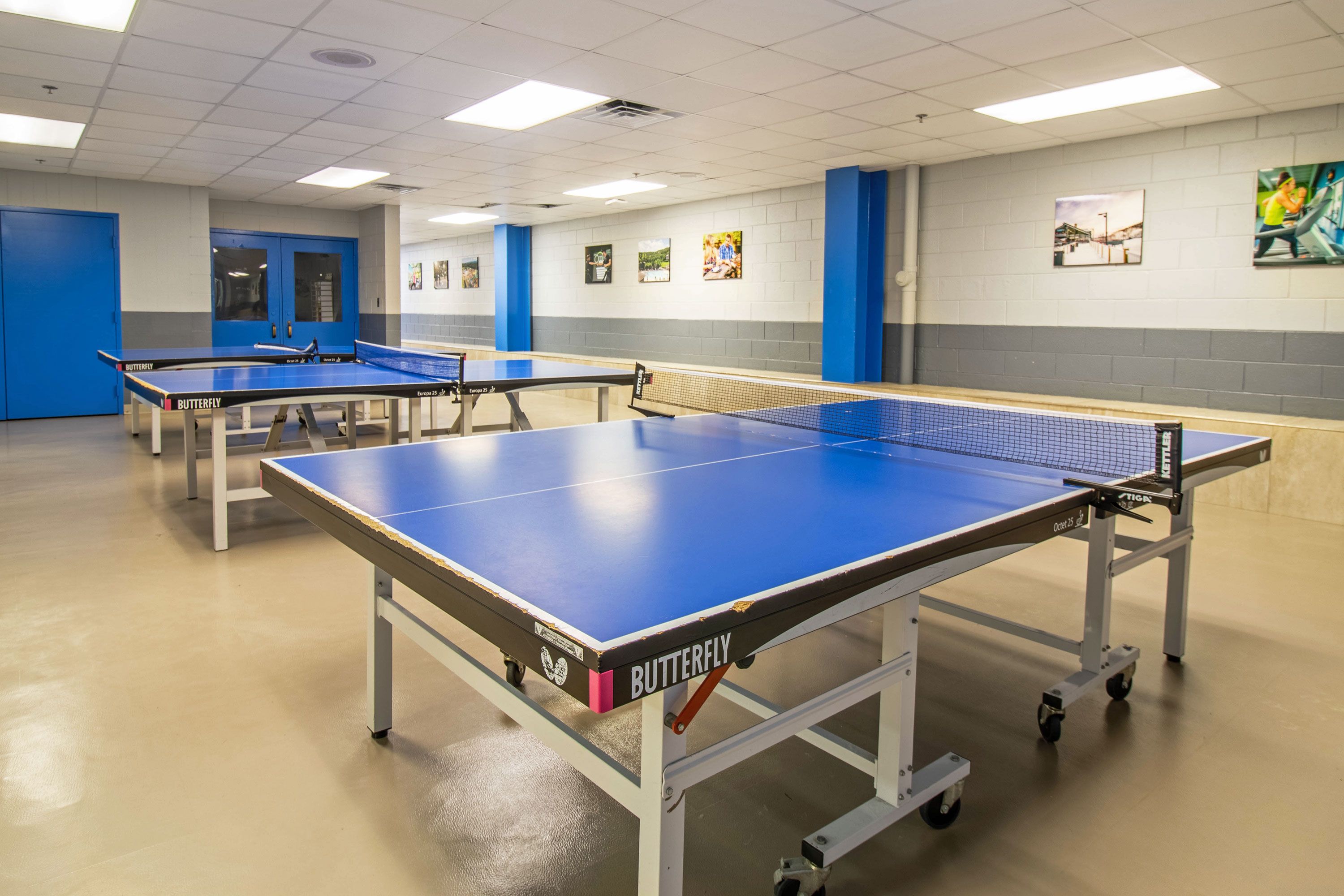 Un gimnasio con varias mesas de ping pong, una puerta azul y cuadros colgados en la pared.