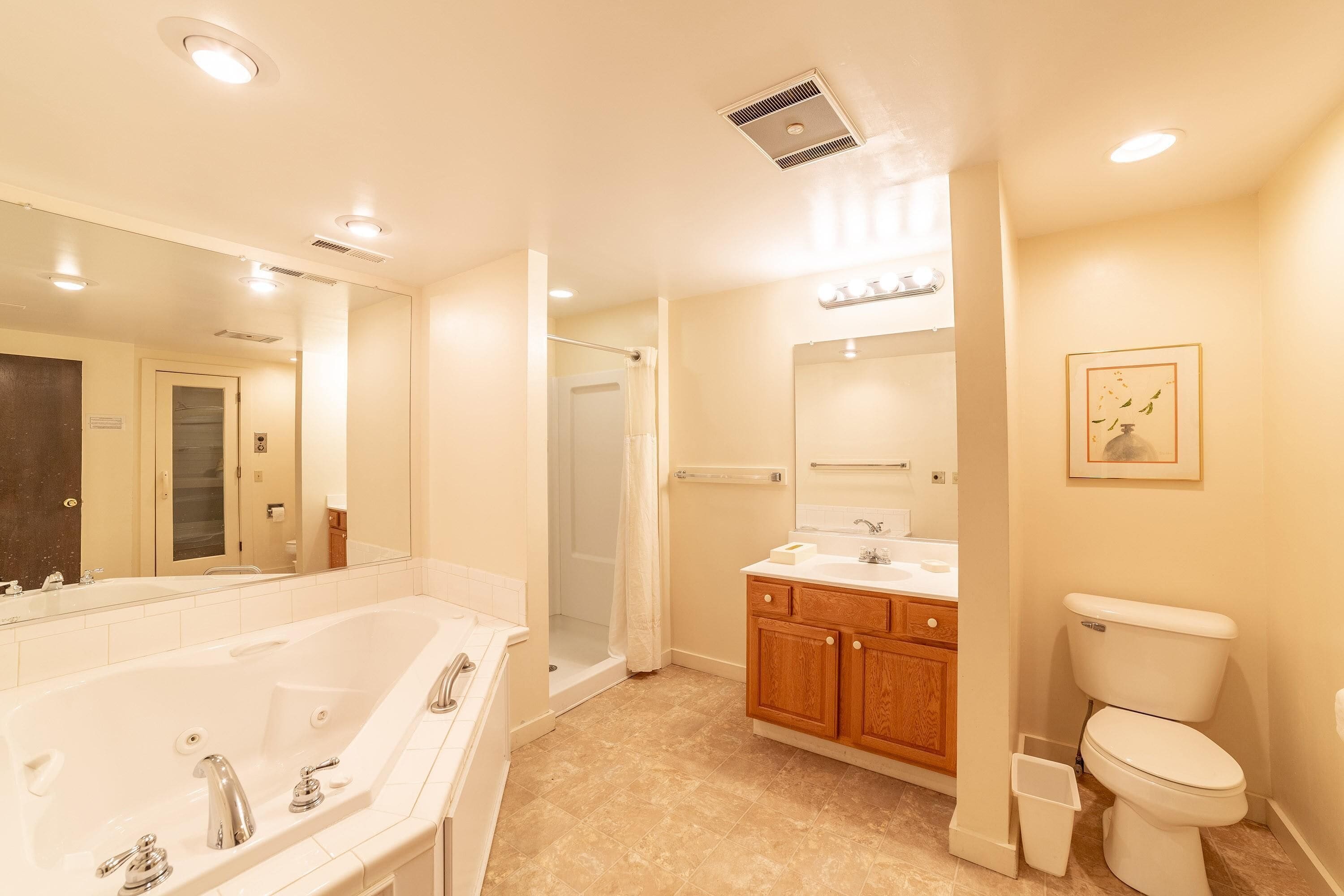 A modern bathroom with a large bathtub, a shower, and a toilet.