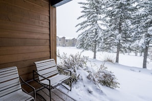 Property grounds - Hot Tub/Pool! Fireplace! Large courtyard! Beautiful Kitchen! (Steamboat Springs)