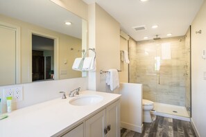 Combined shower/tub, hair dryer, towels - Hot Tub/Pool! Fireplace! Large courtyard! Beautiful Kitchen! (Steamboat Springs)