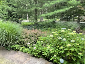 Jardines del alojamiento