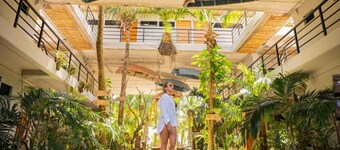 マヤン モンキー イスラ ムヘーレス | ソーシャル ホテル