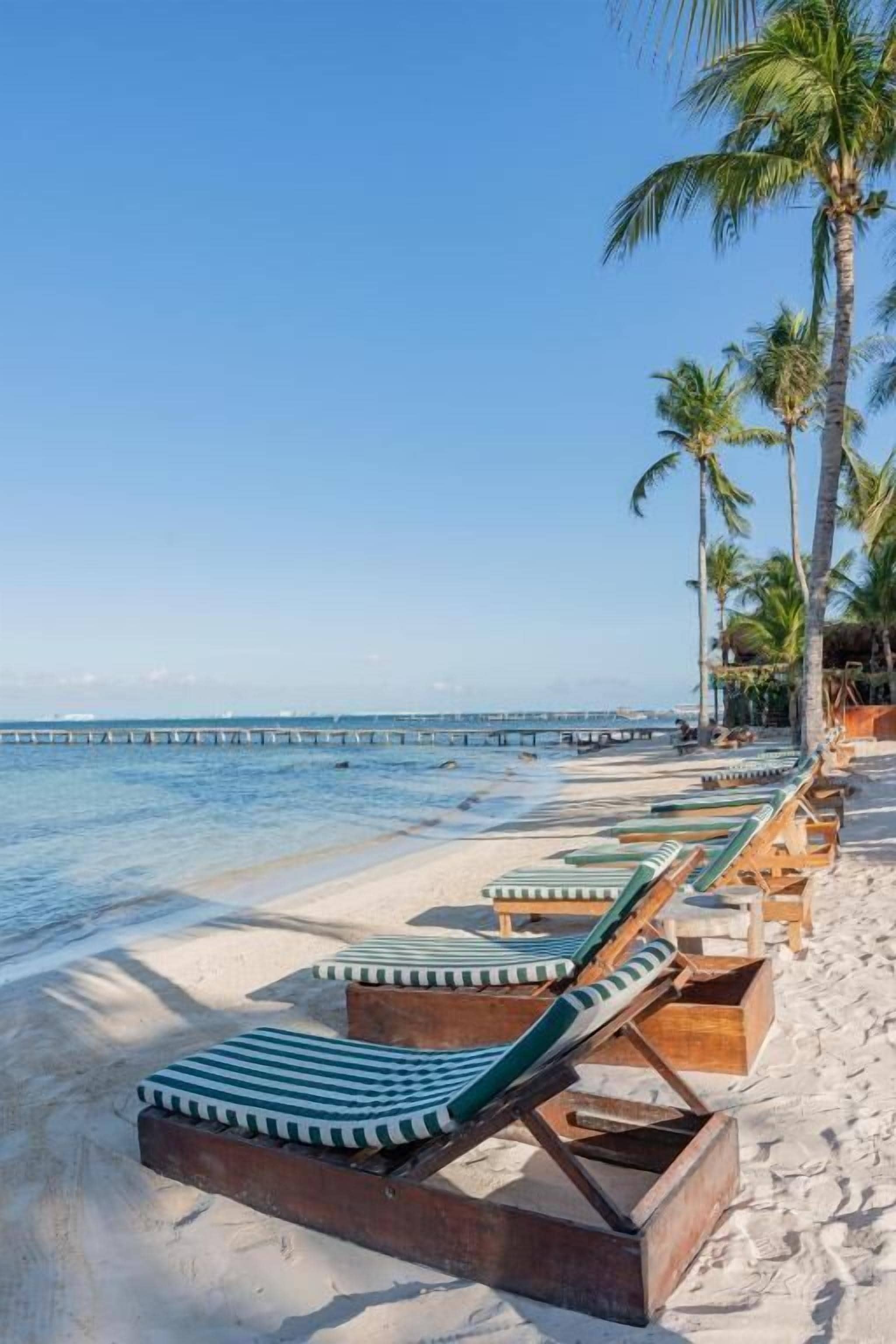 Foto - Mayan Monkey Isla Mujeres - Social Hotel