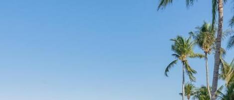 A beach with wooden lounge chairs and palm trees.
