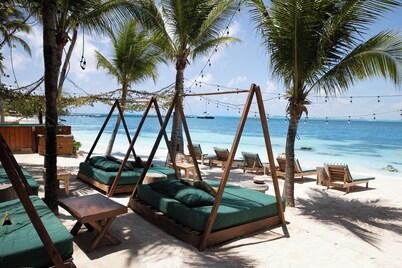 Mayan Monkey Isla Mujeres | Social Hotel