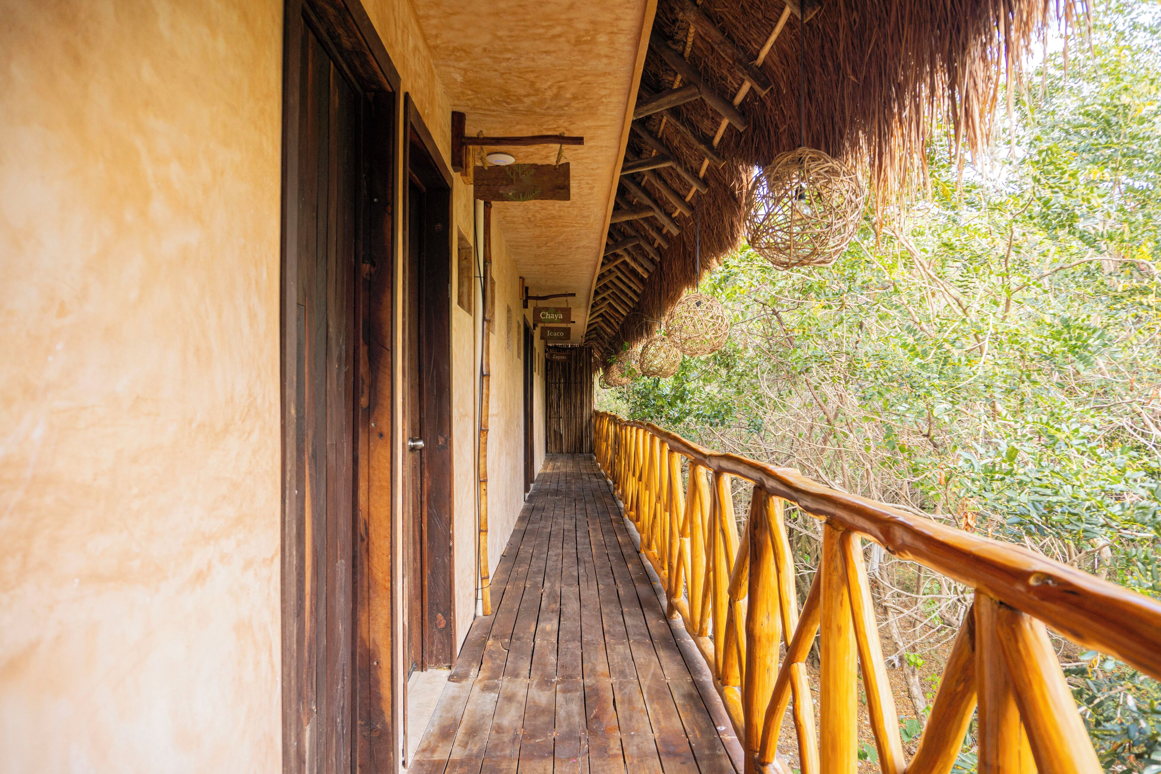 Foto - Mayan Monkey Isla Mujeres - Social Hotel