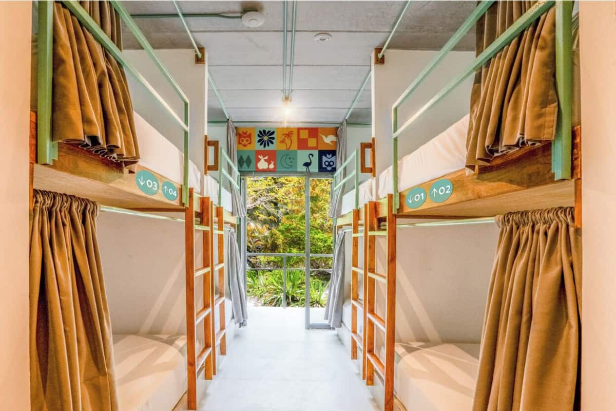 A corridor with bunk beds, each with a curtain, leading to a window with a view of greenery.