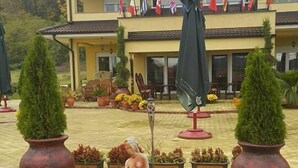 A hotel with a courtyard featuring a statue, potted plants, and a flag display. - Akva Gold Apartmani (Arandelovac)