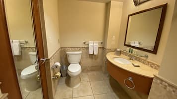 Un baño con inodoro, lavamanos y espejo.