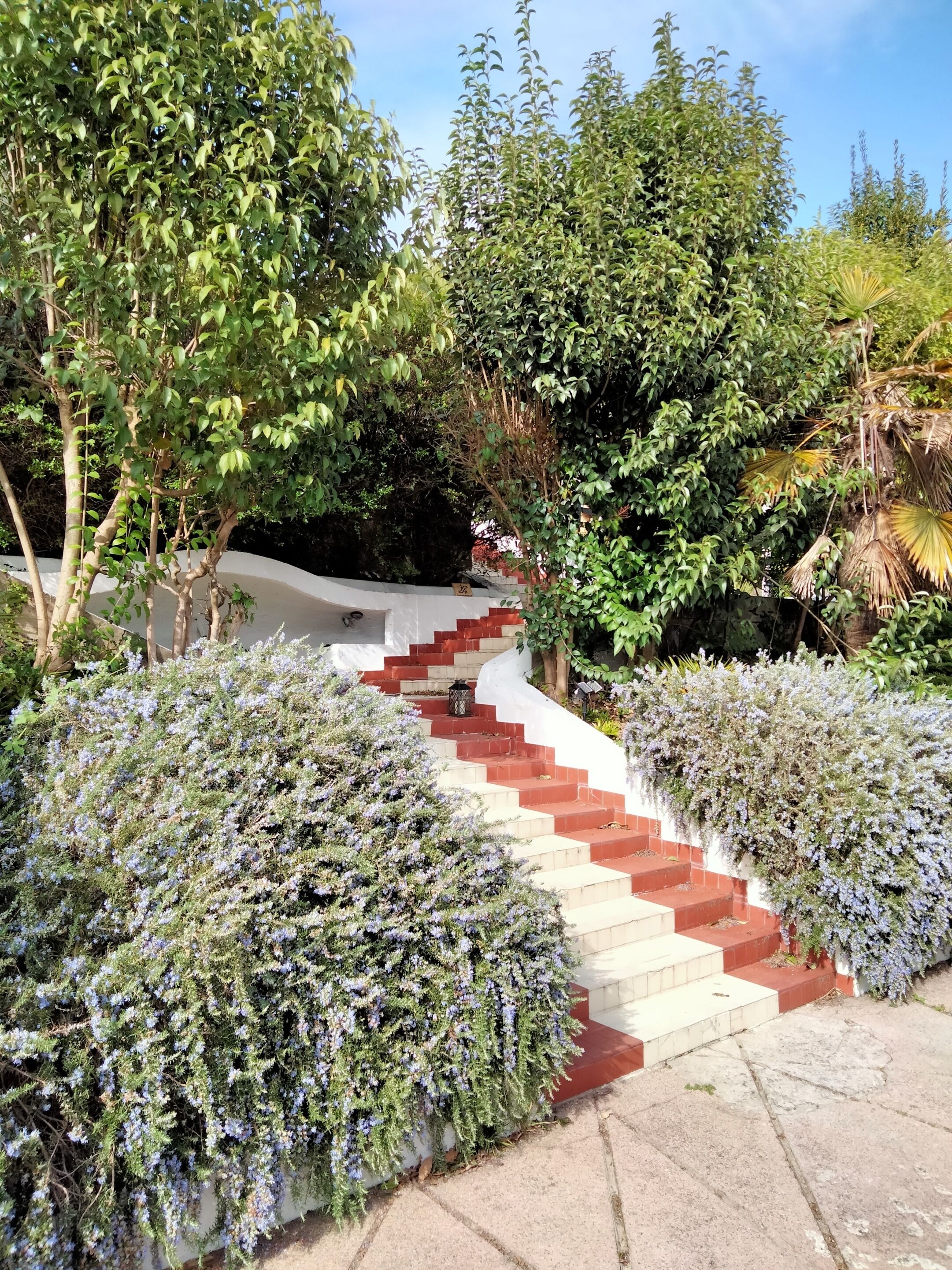 A staircase surrounded by lush greenery and flowering plants.