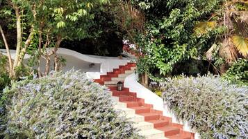 A staircase surrounded by lush greenery and flowering plants.