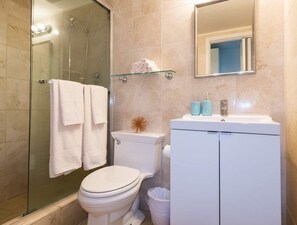 Shower, hair dryer, towels