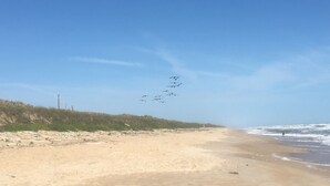 Een strand met een heldere lucht, zandstrand en een grasduin op de achtergrond.