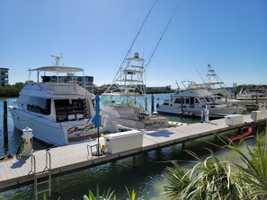 Marina