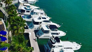 A marina with multiple yachts docked in a row, a pedestrian walkway alongside, and palm trees.