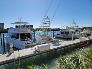 A marina with several yachts docked, a wooden pier, and a small red boat. - Waterfront, Harbourside, Water Park, Beach, #7719 (Indian Rocks Beach)