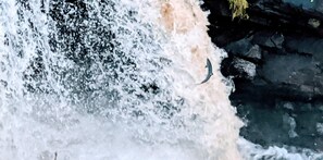 Water cascades over rocks in a dynamic scene.