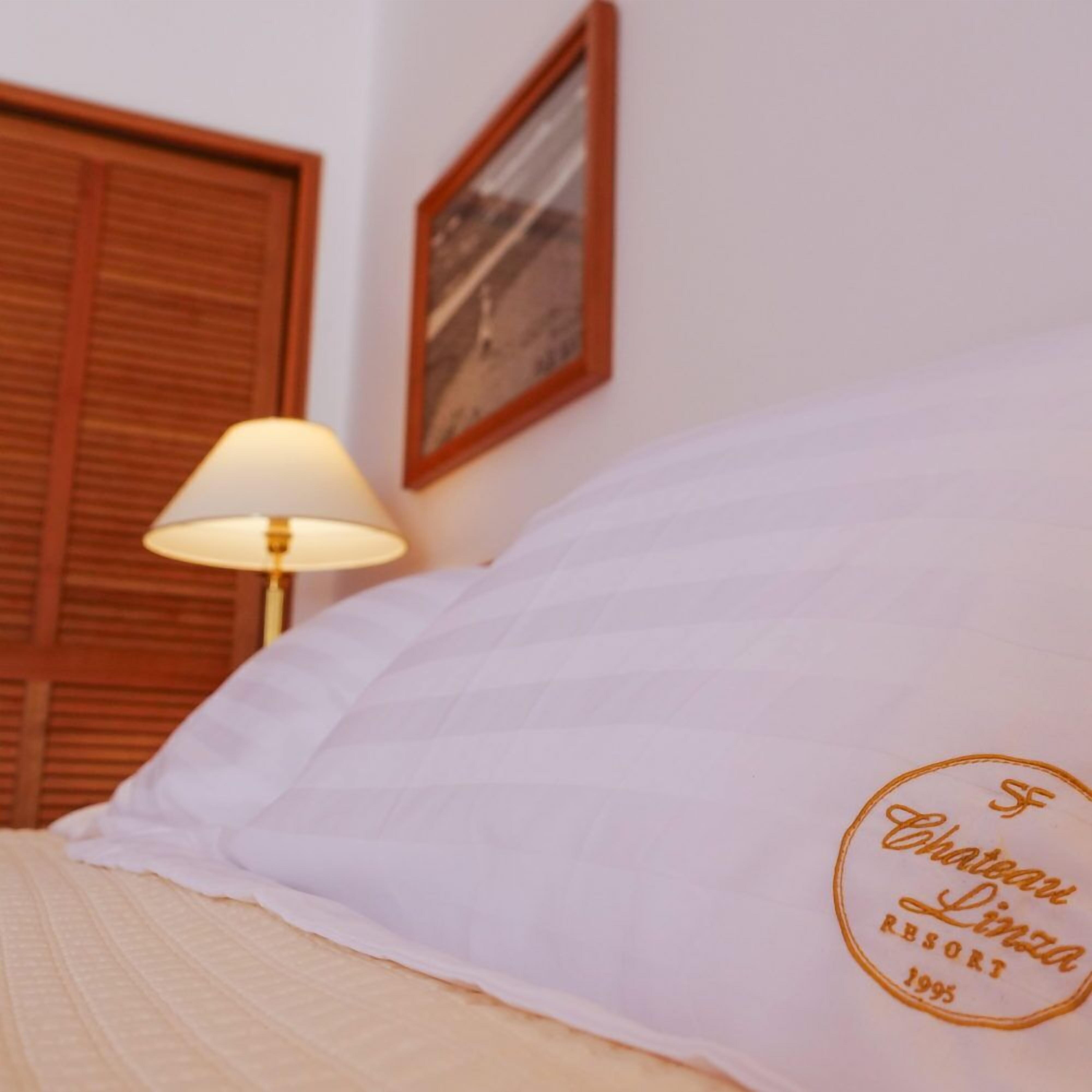 Desk, soundproofing, free WiFi, bed sheets