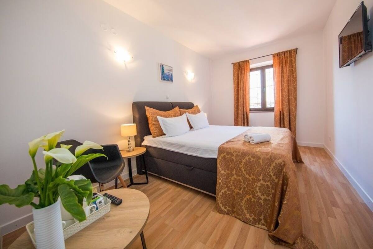Habitación de hotel con una cama, una mesita de noche con lámpara, una silla, una pequeña mesa con una planta y un televisor montado en la pared.