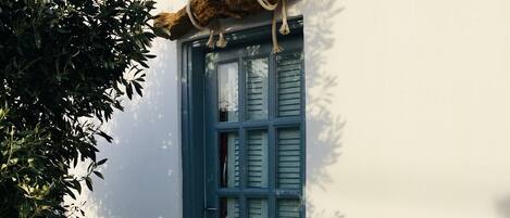 Detalle del exterior