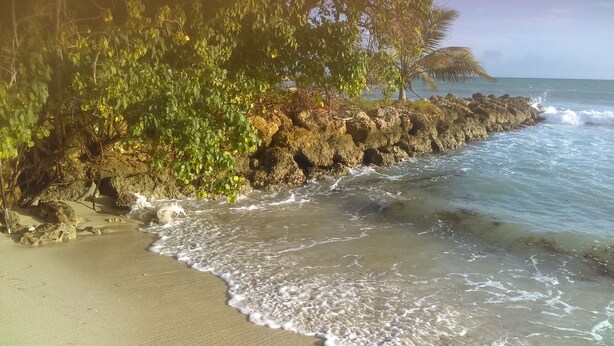 A beach with rocky shoreline, waves, and lush greenery. - Charming duplex with no water shut-off (Le Gosier)