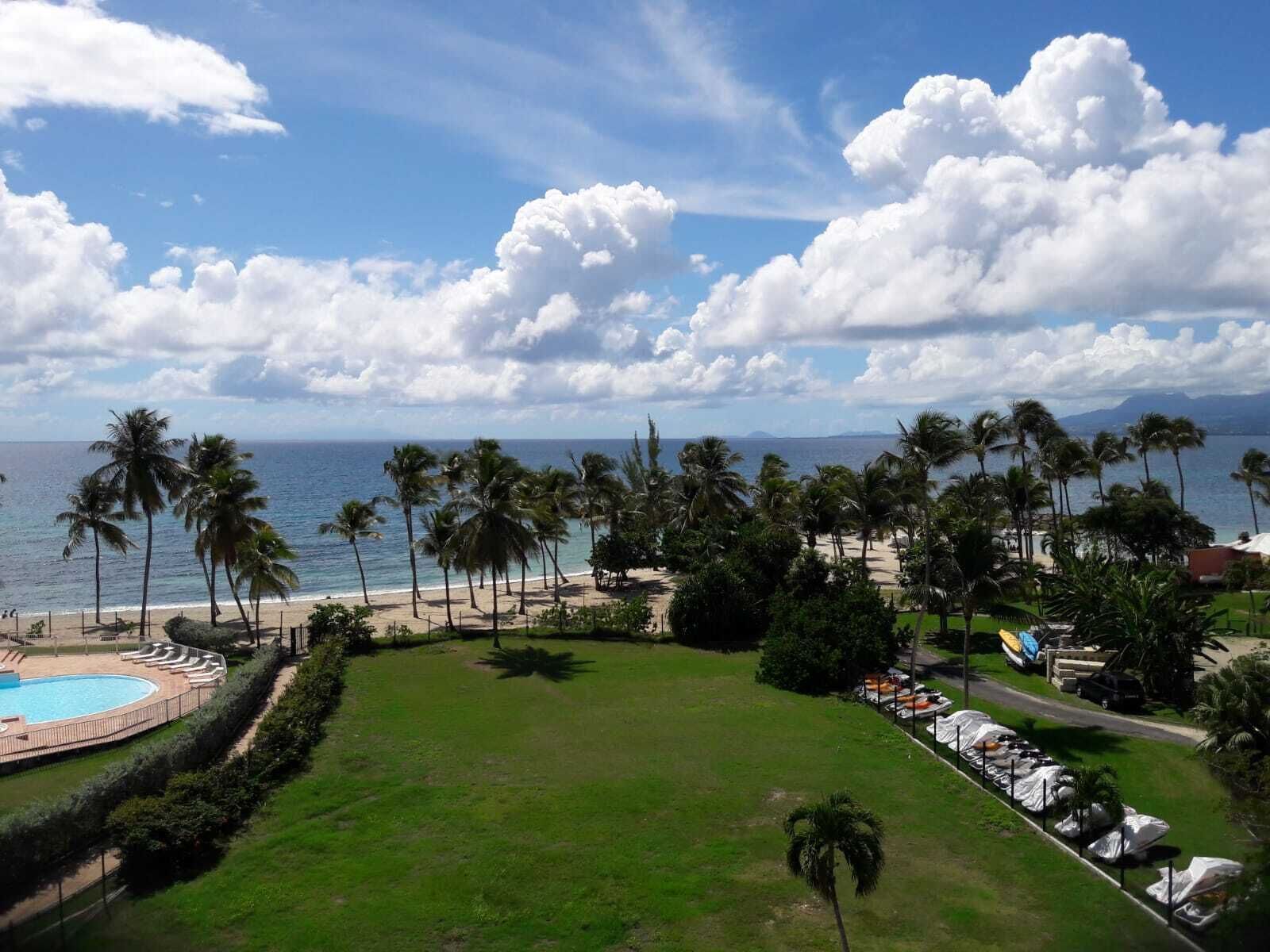 Um resort com piscina, palmeiras e vista para o oceano.