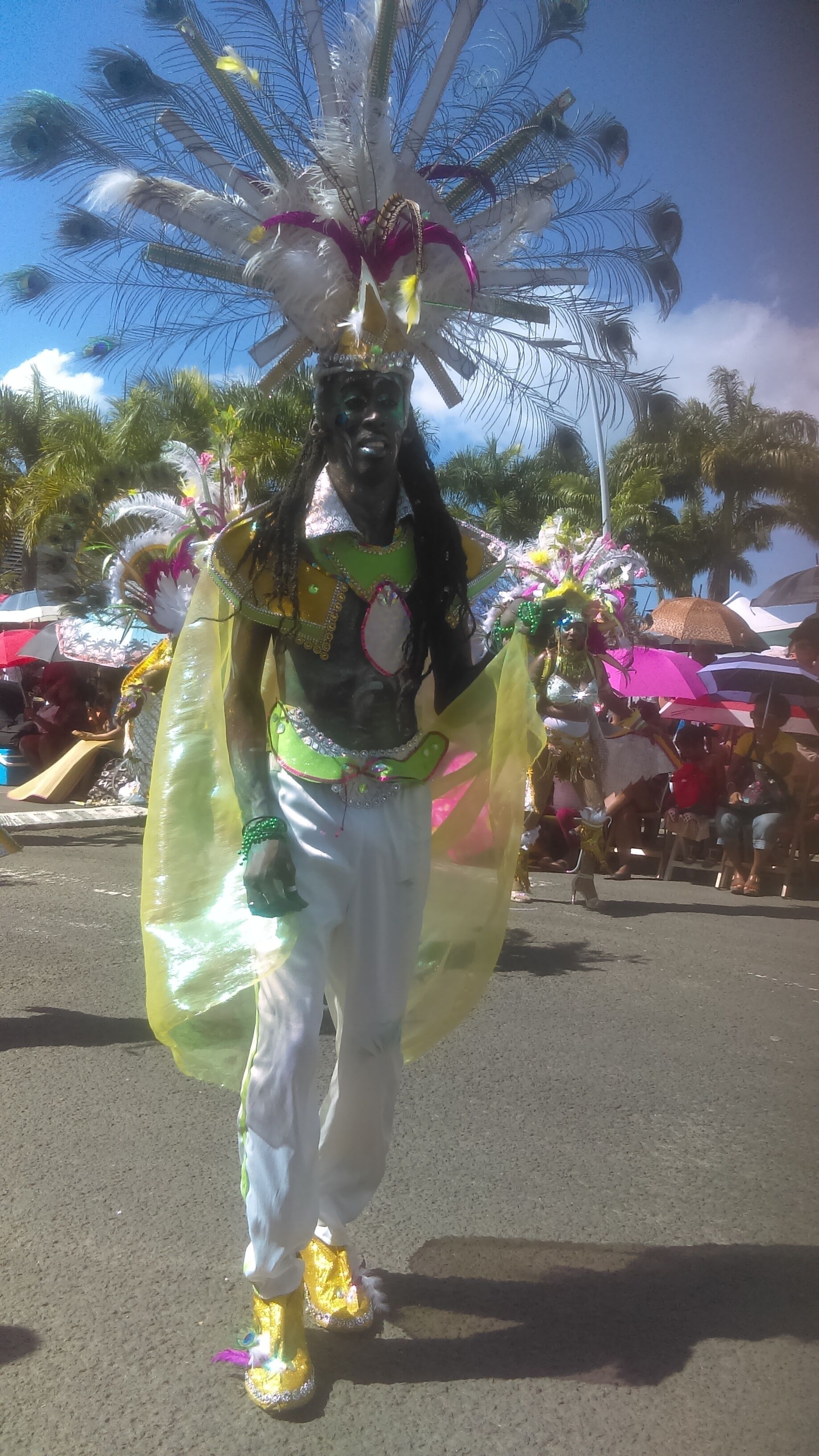 A person in a colorful costume with a large headdress, walking on a street.